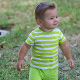 Tommy Tee Lime Stripe - threefriendsapparels