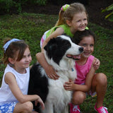 Breezies Tailored Short Dizzy Peri Dot - threefriendsapparels